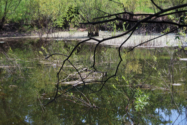 Similar image 21847897