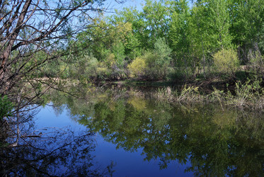 Similar image 21847898