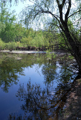 Similar image 21847900