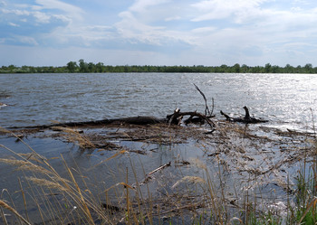 Similar image 21847901