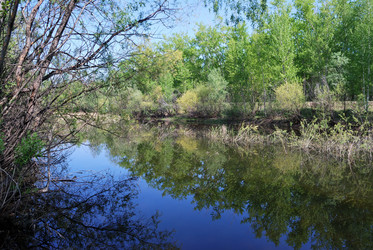 Similar image 21847902