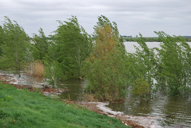 Similar image 21847903