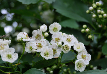 Similar image 21847910