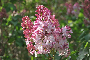 Similar image 21847916