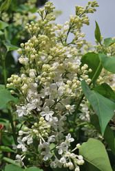 Similar image 21847918