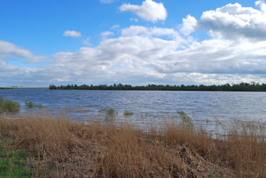 Similar image 21847919