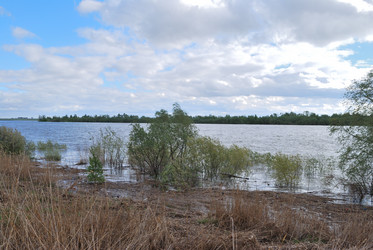 Similar image 21847923