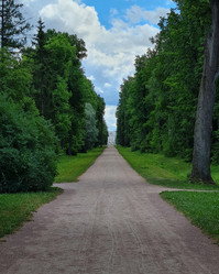 Similar image 21847950