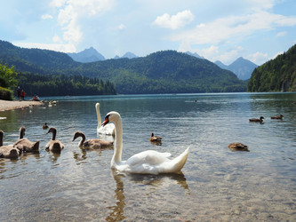 Similar image 21847954