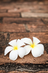 Similar image 21848669