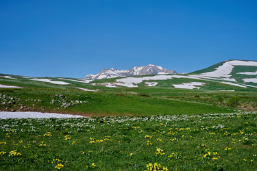 Similar image 21848201