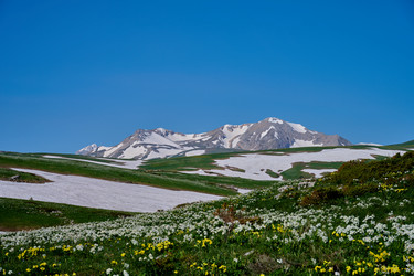 Similar image 21848202