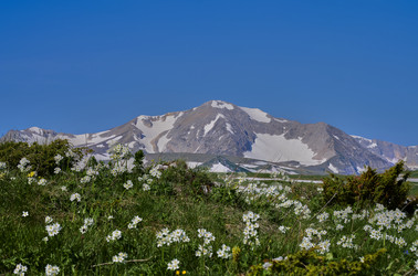 Similar image 21848205