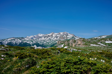 Similar image 21848434