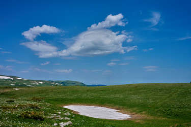 Similar image 21848439