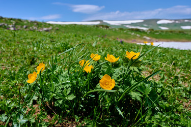 Similar image 21848440