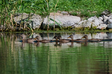 Similar image 21848448