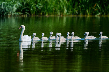 Similar image 21848450