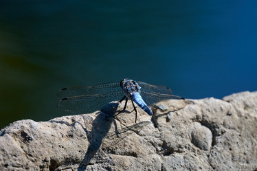 Similar image 21848452