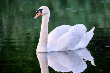 Similar image 21848209