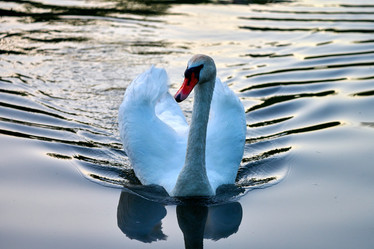 Similar image 21848210