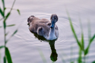 Similar image 21848211