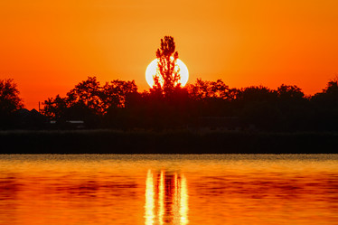 Similar image 21848219