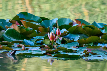 Similar image 21848234