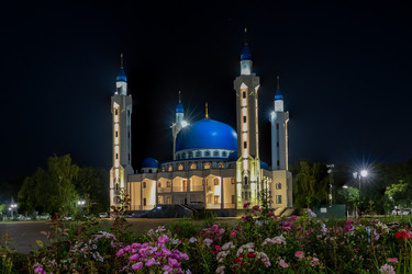 Similar image 21848240