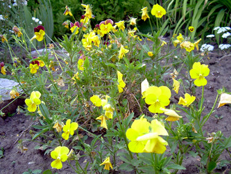 Similar image 21848242