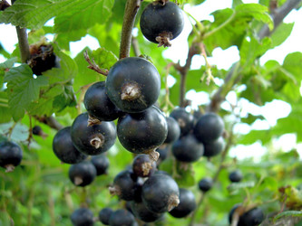 Similar image 21848243