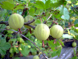 Similar image 21848244