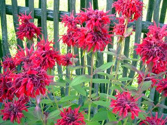 Similar image 21848245