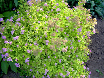 Similar image 21848246