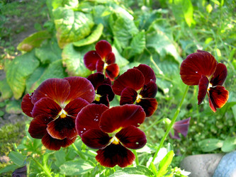 Similar image 21848247