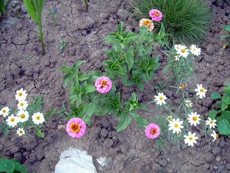 Similar image 21848248