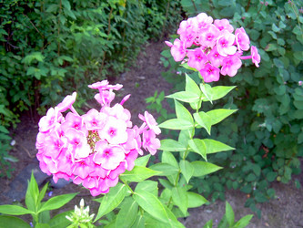 Similar image 21848249