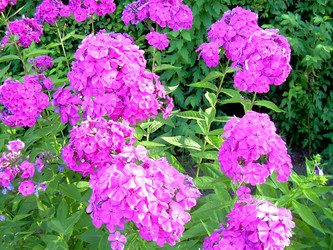 Similar image 21848250