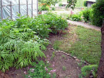 Similar image 21848251