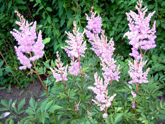 Similar image 21848252