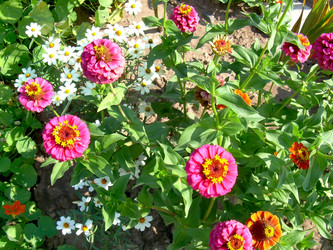 Similar image 21848255