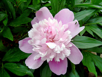 Similar image 21848256