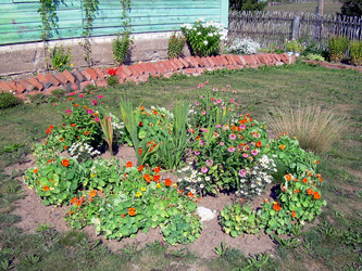 Similar image 21848257