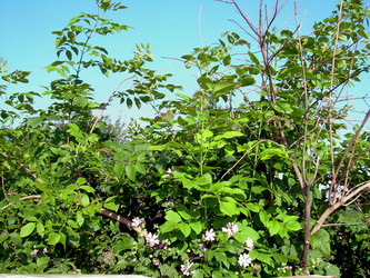 Similar image 21848258