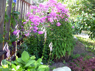 Similar image 21848260