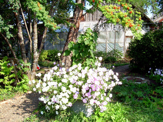 Similar image 21848263