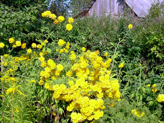 Similar image 21848265