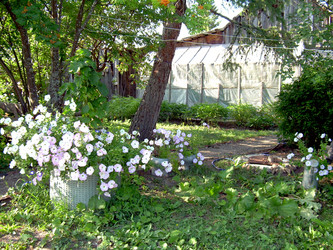 Similar image 21848267