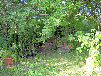 Similar image 21848268