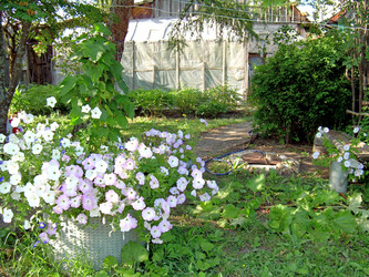 Similar image 21848271